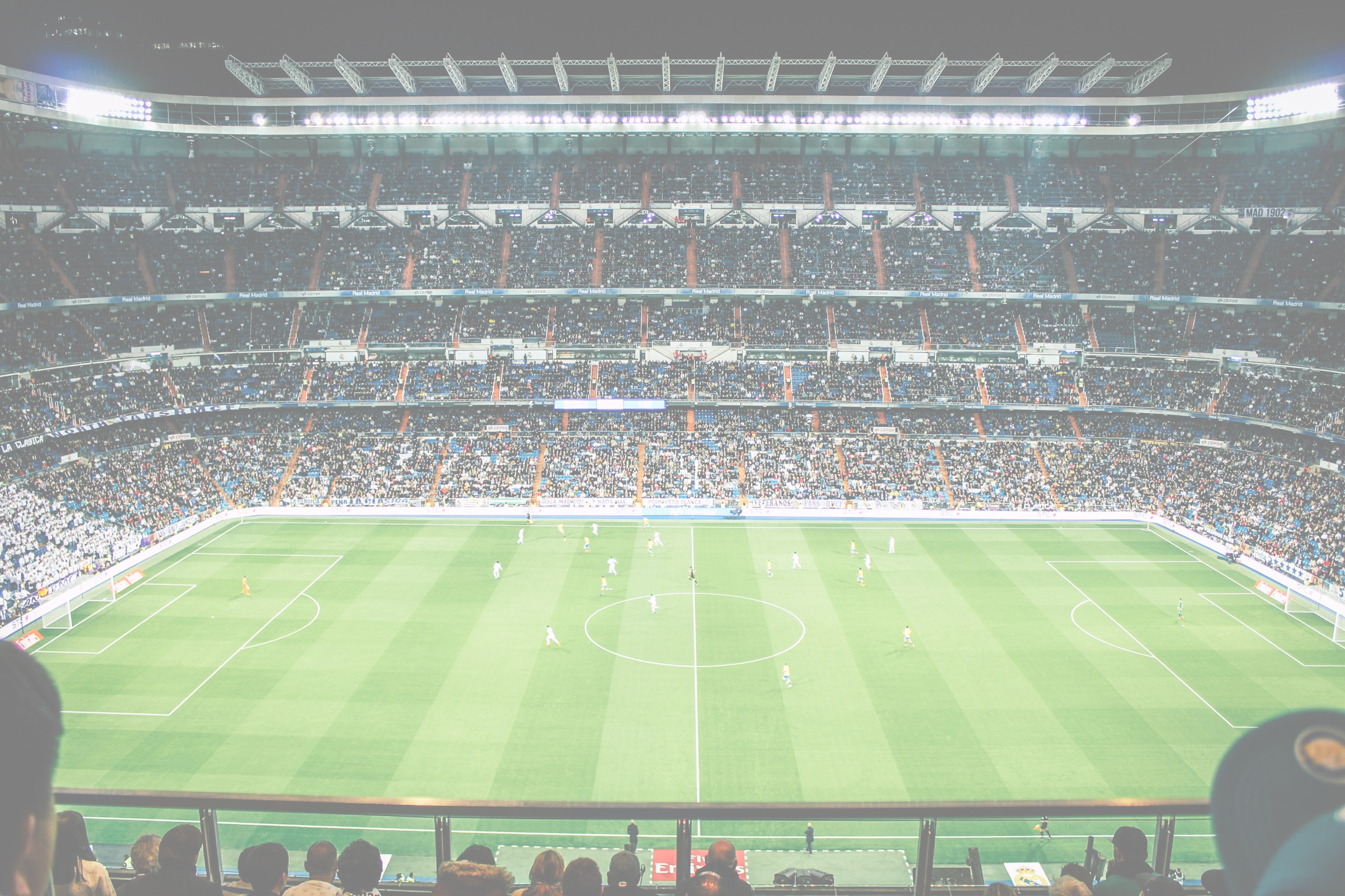 new-bg