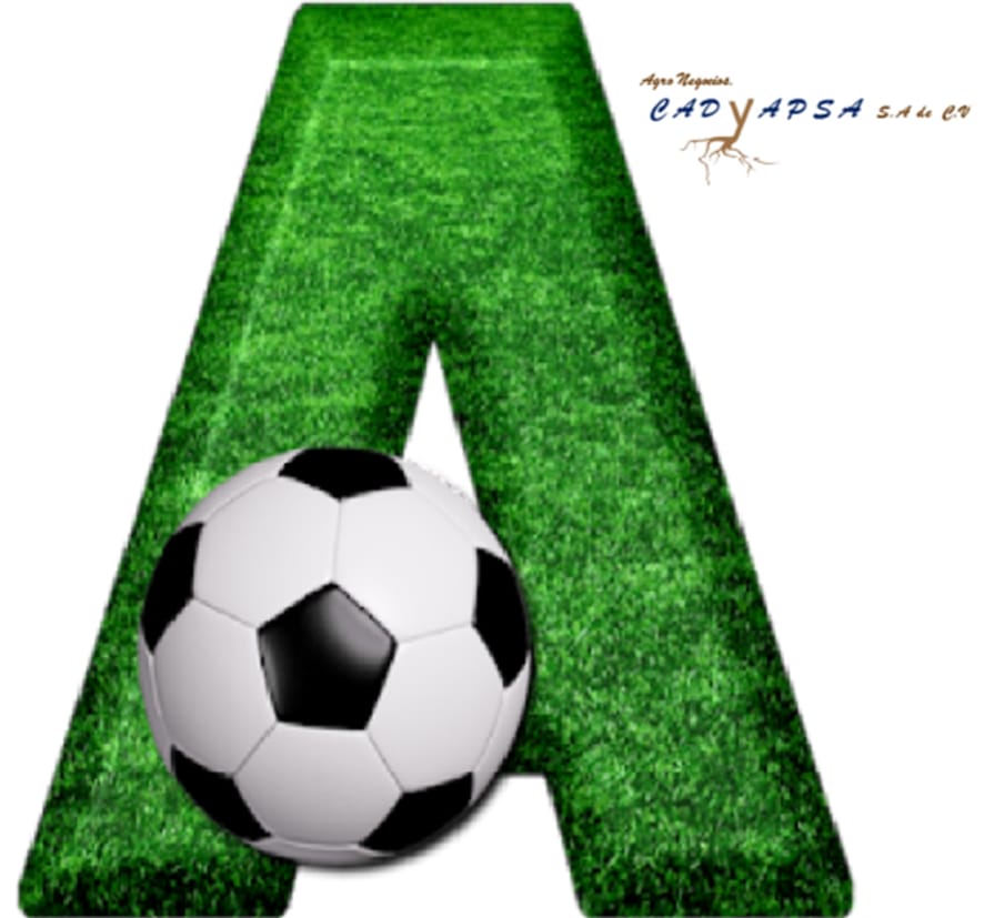 FC AGRONEGOCIOS