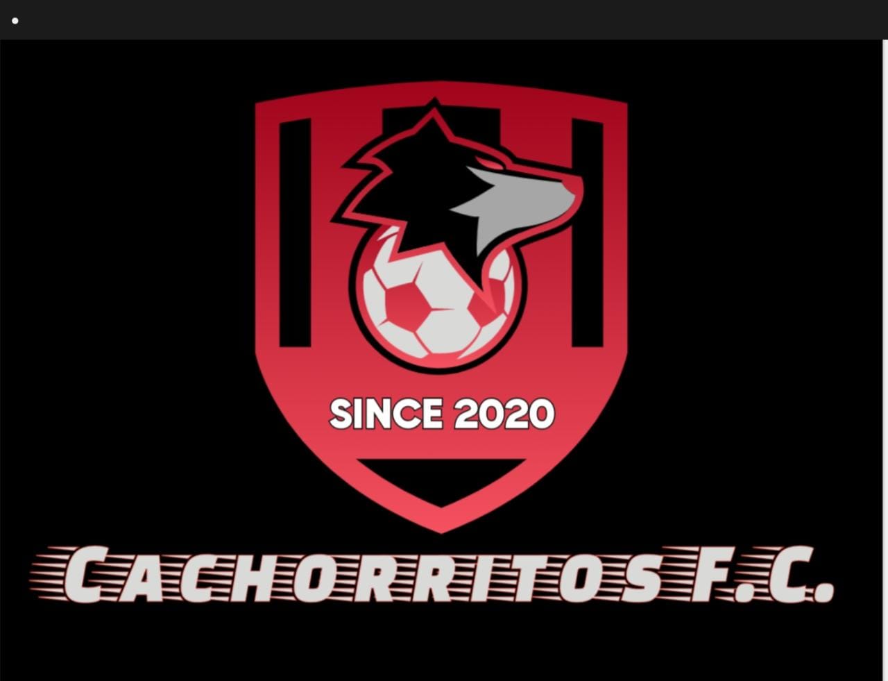 LOS CACHORRITOS